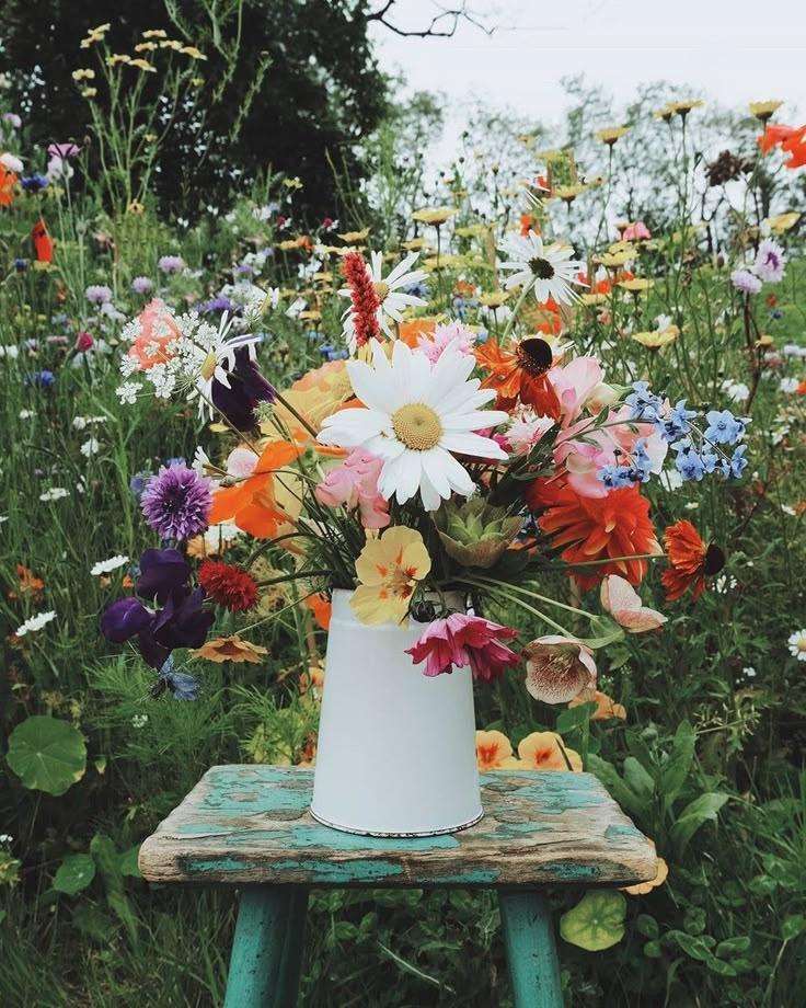 Sunset Embrace: Vivid Blooms of Warmth